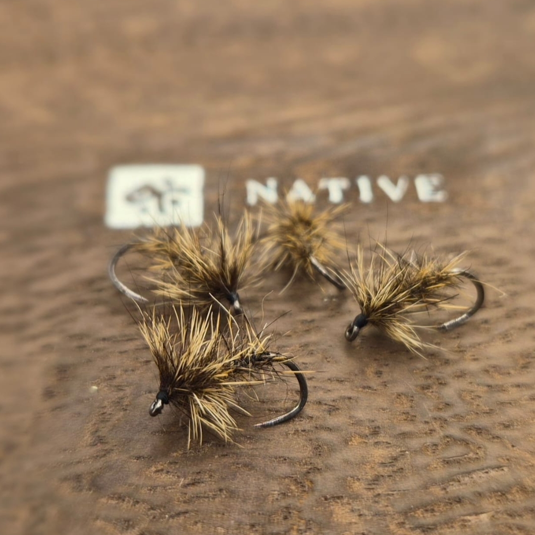 Oreille de lièvre One Fly One Fish