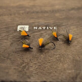 Baron olive Matt & Lenka