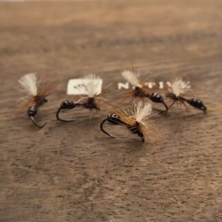 Fourmis Matt & Lenka