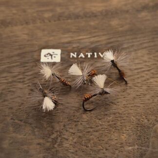 Fourmis Dubbing Matt & Lenka