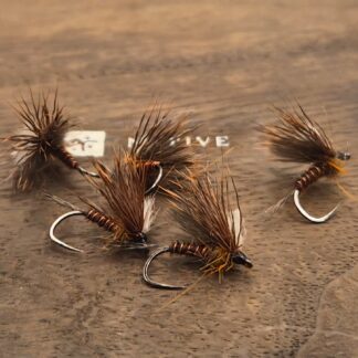 March Brown Matt & Lenka