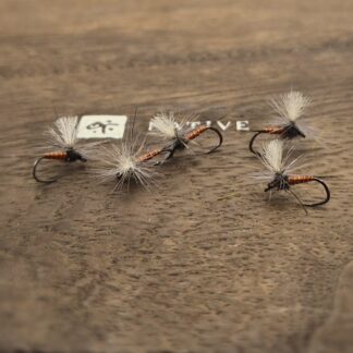 Rusty Parachute Matt & Lenka