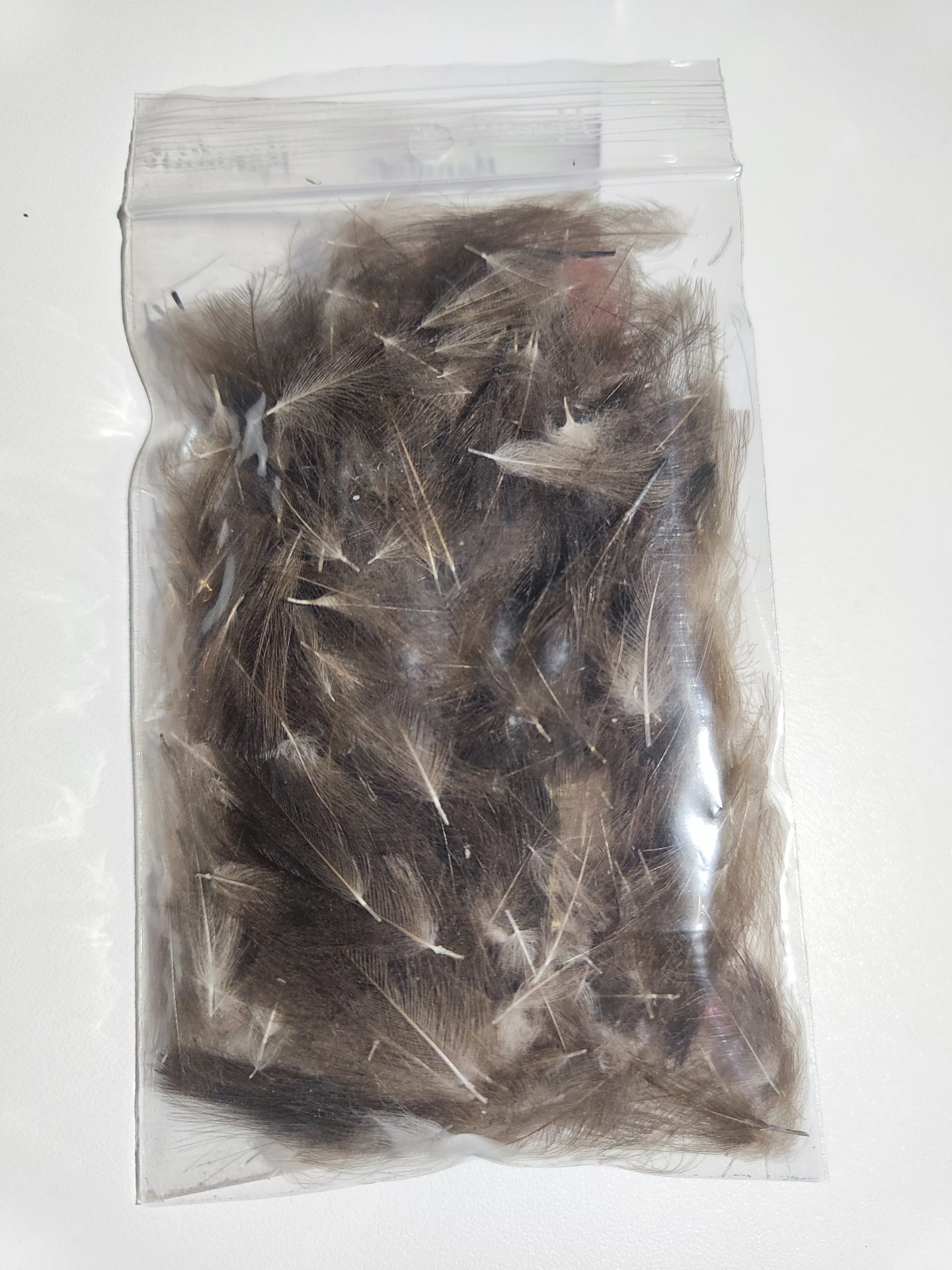 Cul de Canard Sauvage Naturel 1 Gramme